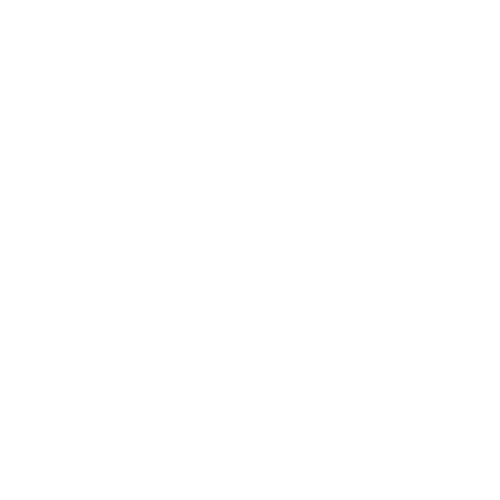 CoinGecko Icon